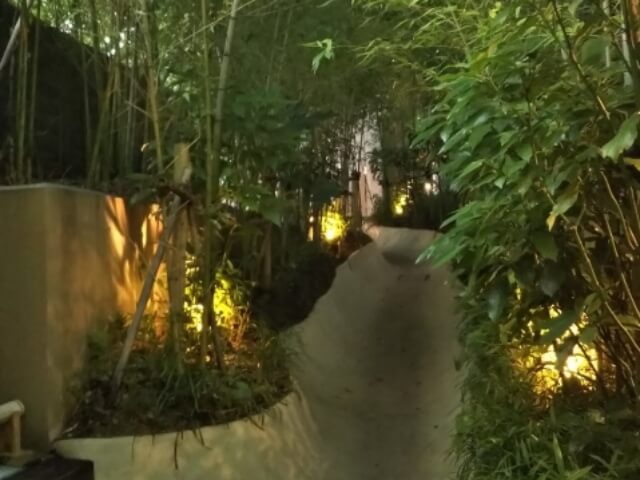 来宮神社の竹林