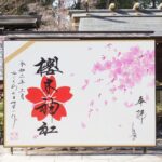 櫻木神社のお花見情報｜2023年の桜開花時期と見ごろ時期！混雑状況は？