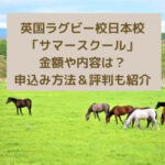 北海道の草原の馬