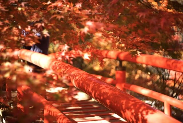 伊香保温泉の河鹿橋のきれいな紅葉