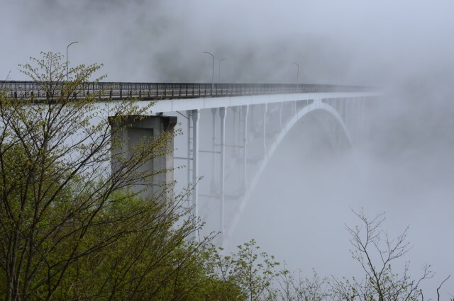 霧降高原の六方橋に霧がかかる様子
