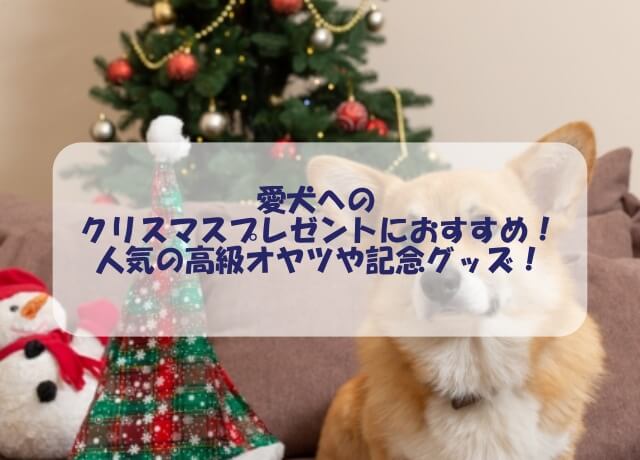 犬用のクリスマスプレゼント