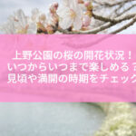 上野公園の桜の開花状況（2023）いつからいつまで楽しめる？見頃や満開の時期をチェック