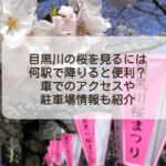 目黒川の桜を見るには何駅で降りると便利？車でのアクセスや駐車場情報も紹介