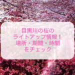 目黒川の夜桜のライトアップ情報2023！場所・期間・時間をチェック