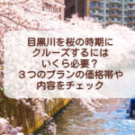 目黒川を桜の時期にクルーズするにはいくら必要？３つのプランの価格帯や内容をチェック！
