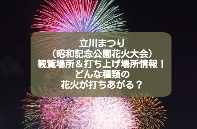 昭和記念公園の花火