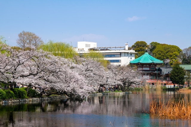 上野公園の桜祭りではどんな屋台や出店が出てる？どこに出てる？何時まで？