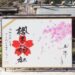櫻木神社のお花見