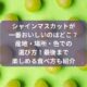 シャインマスカットが一番おいしいのはどこ？産地・場所・色での選び方！最後まで楽しめる食べ方も紹介
